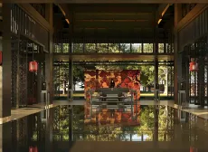 BẠC PHƠ NGUỒN CỘI