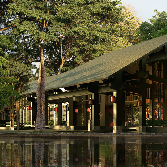 BẠC PHƠ NGUỒN CỘI